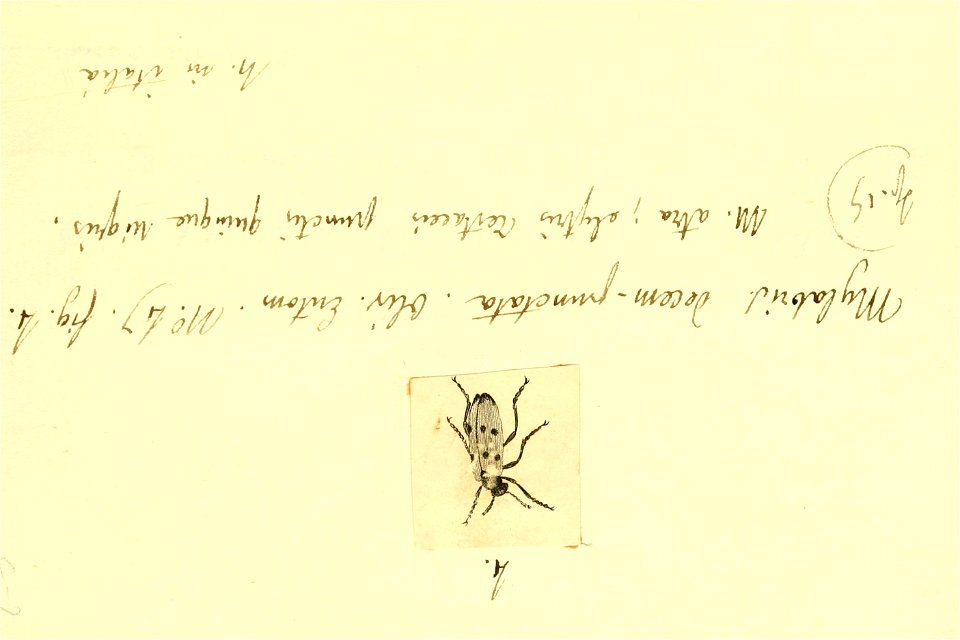 n112_w1150