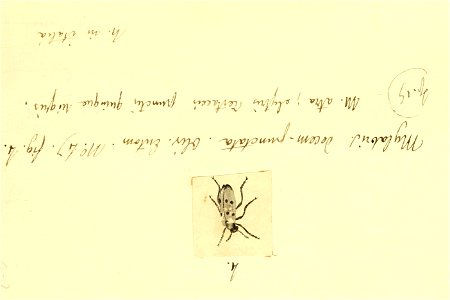 n112_w1150