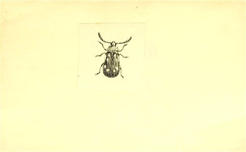 n6_w1150
