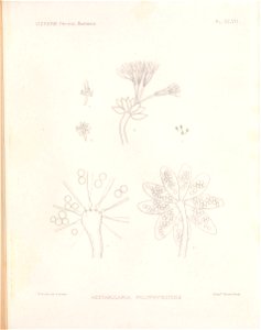 n136_w1150