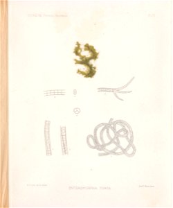 n46_w1150