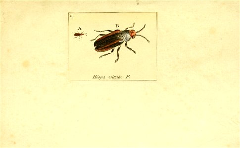 n4_w1150