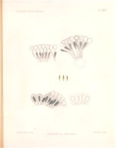 n134_w1150