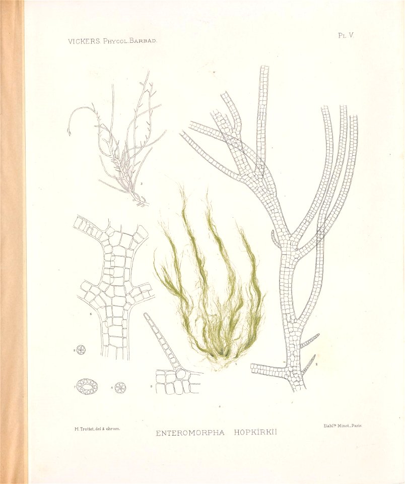 n44_w1150