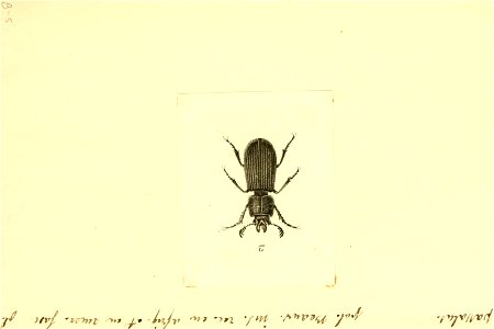 n102_w1150