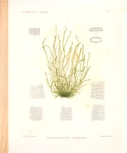 n40_w1150
