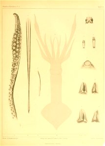 n138_w1150