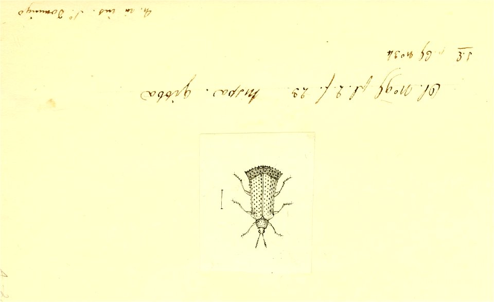 n58_w1150