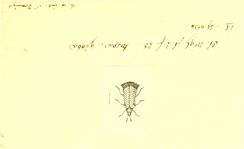 n58_w1150