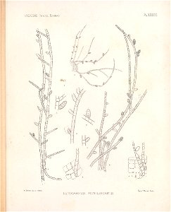 n230_w1150