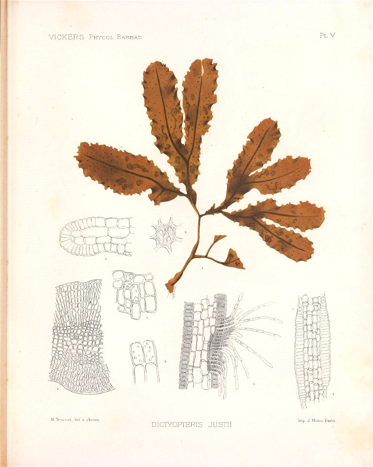n170_w1150
