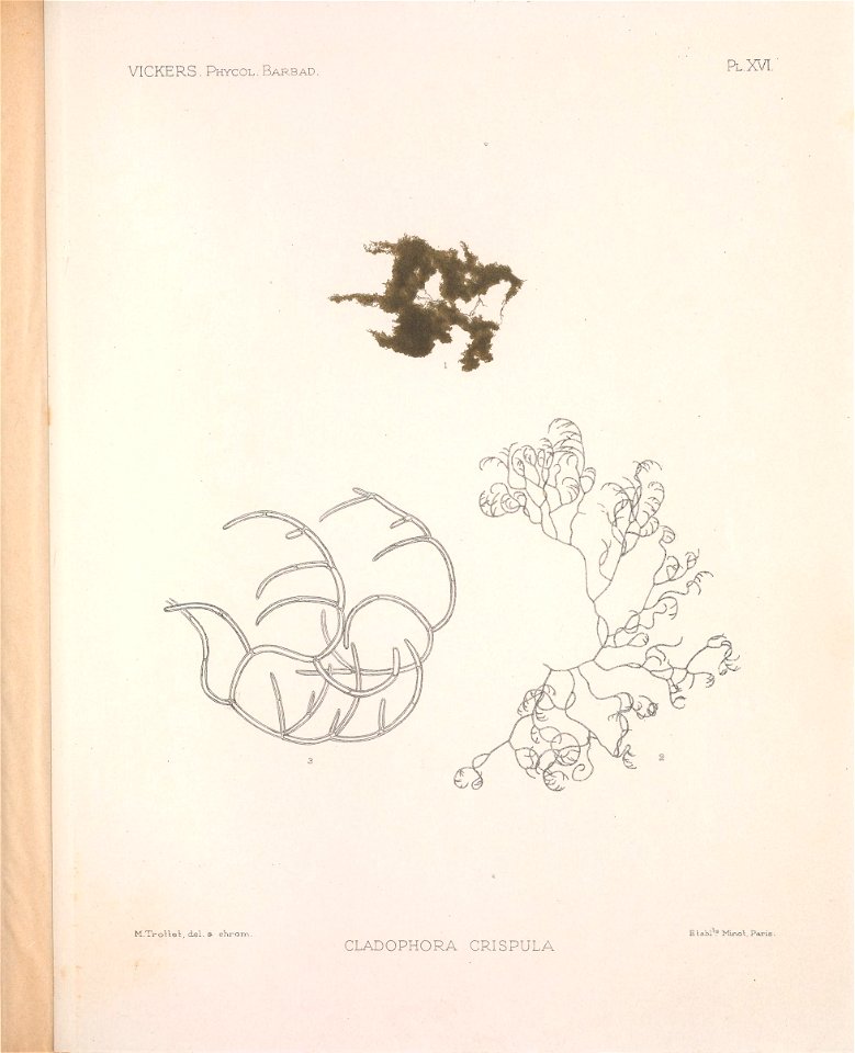 n68_w1150