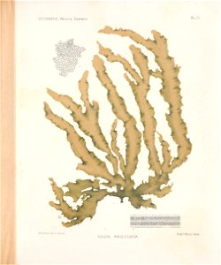 n38_w1150