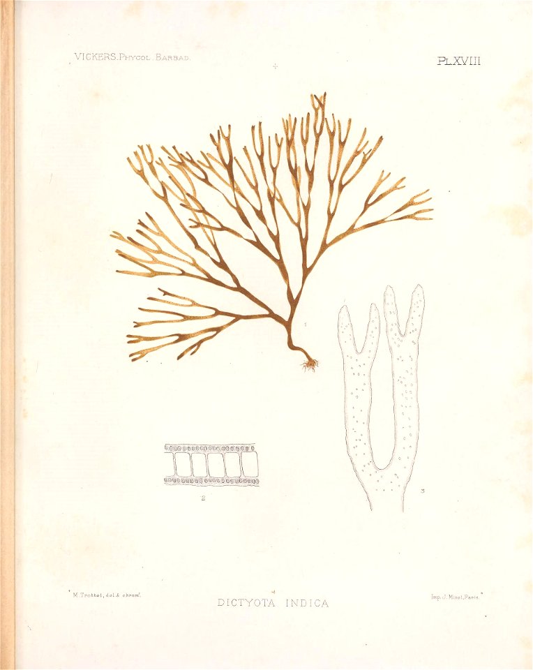 n198_w1150