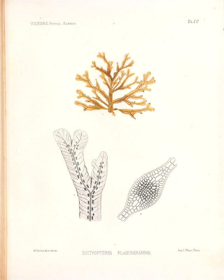 n168_w1150