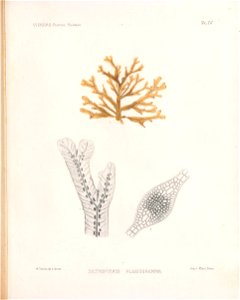 n168_w1150