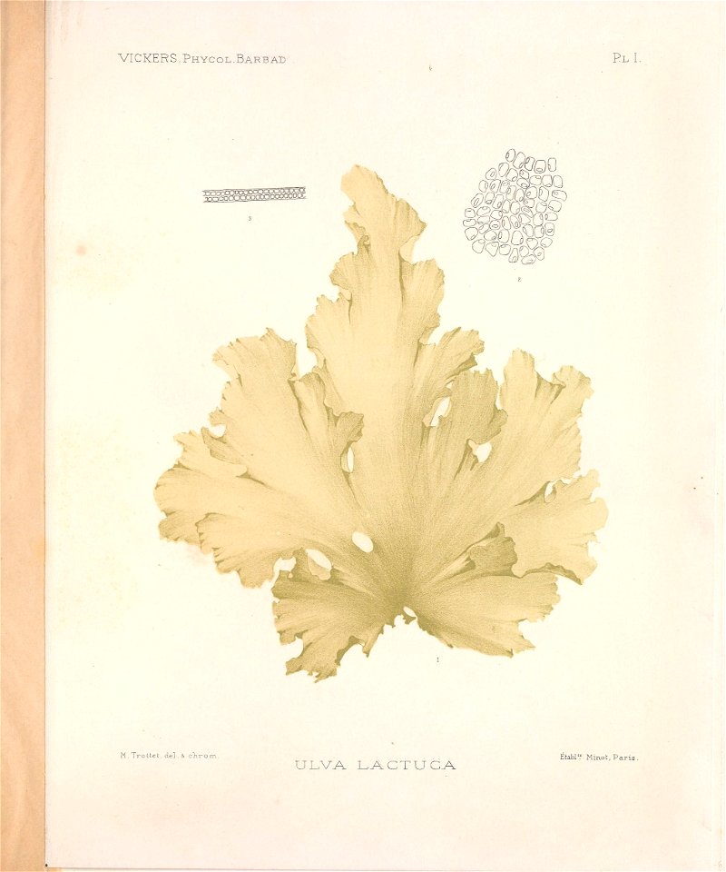 n36_w1150