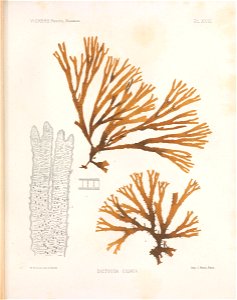 n196_w1150