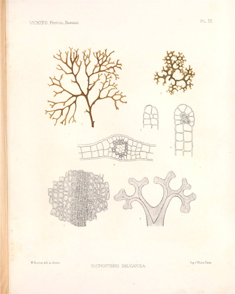 n166_w1150