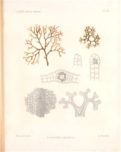 n166_w1150
