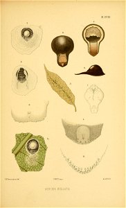 n164_w1150