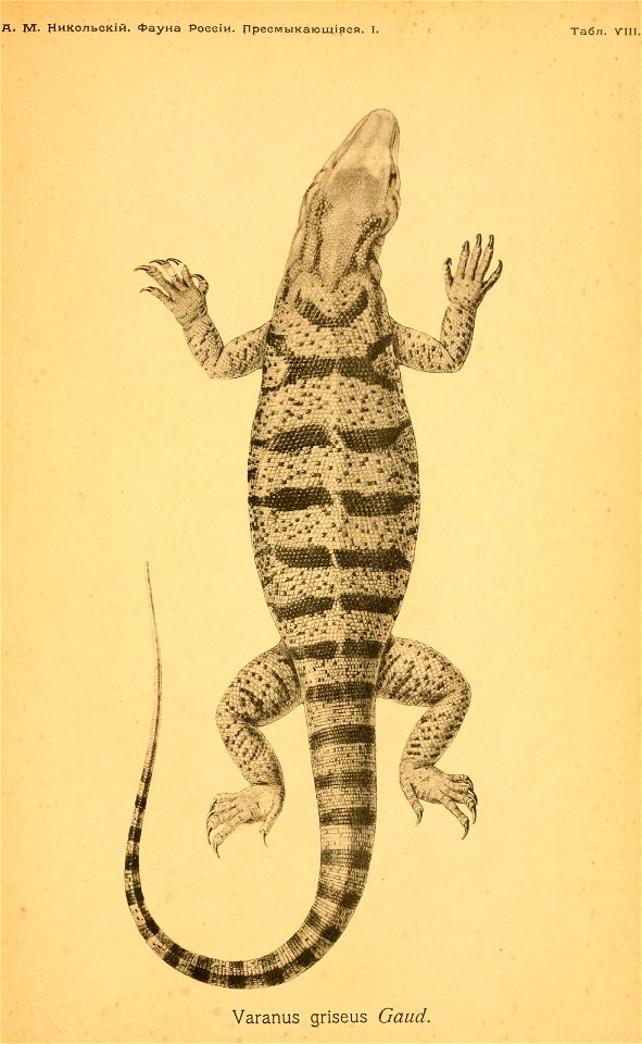 n572_w1150