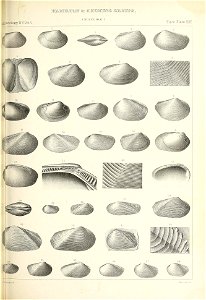 n430_w1150