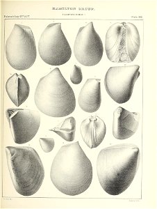 n414_w1150