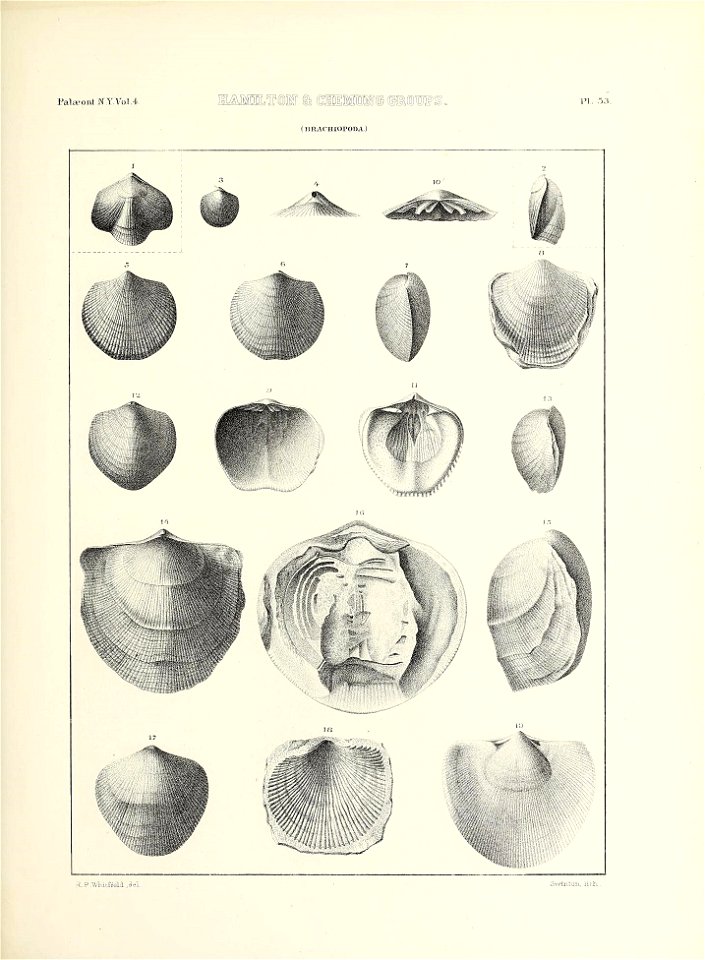 n668_w1150