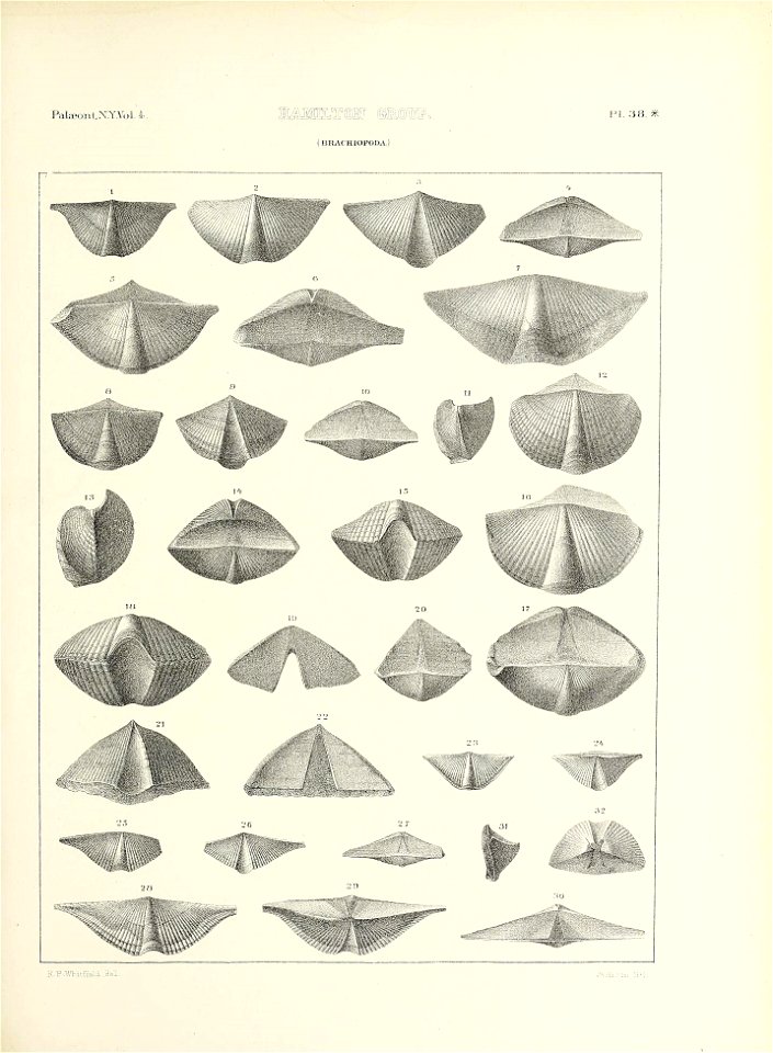 n608_w1150