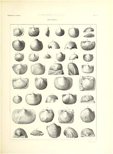 n548_w1150