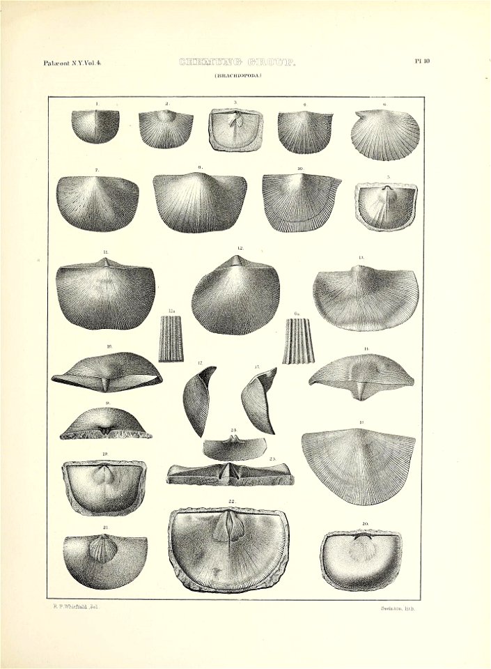 n488_w1150