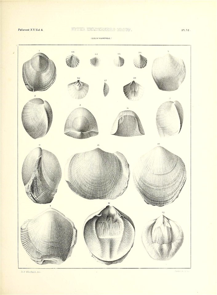 n664_w1150