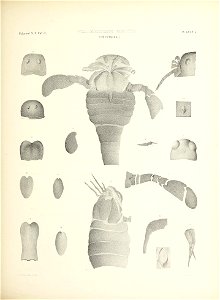 n370_w1150