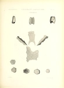 n430_w1150