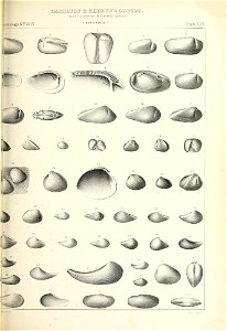 n422_w1150