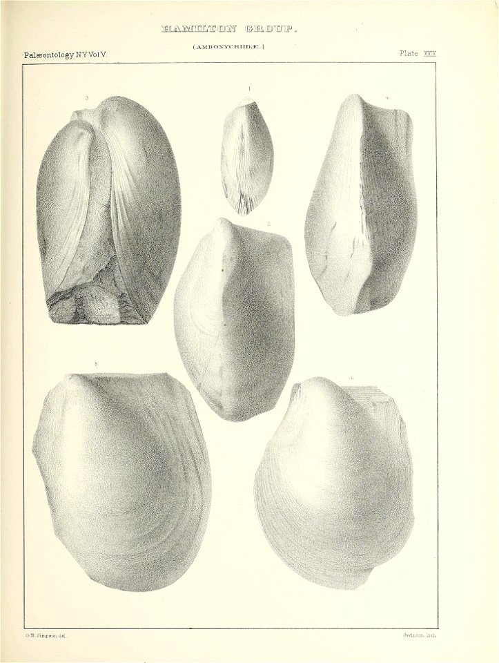 n406_w1150