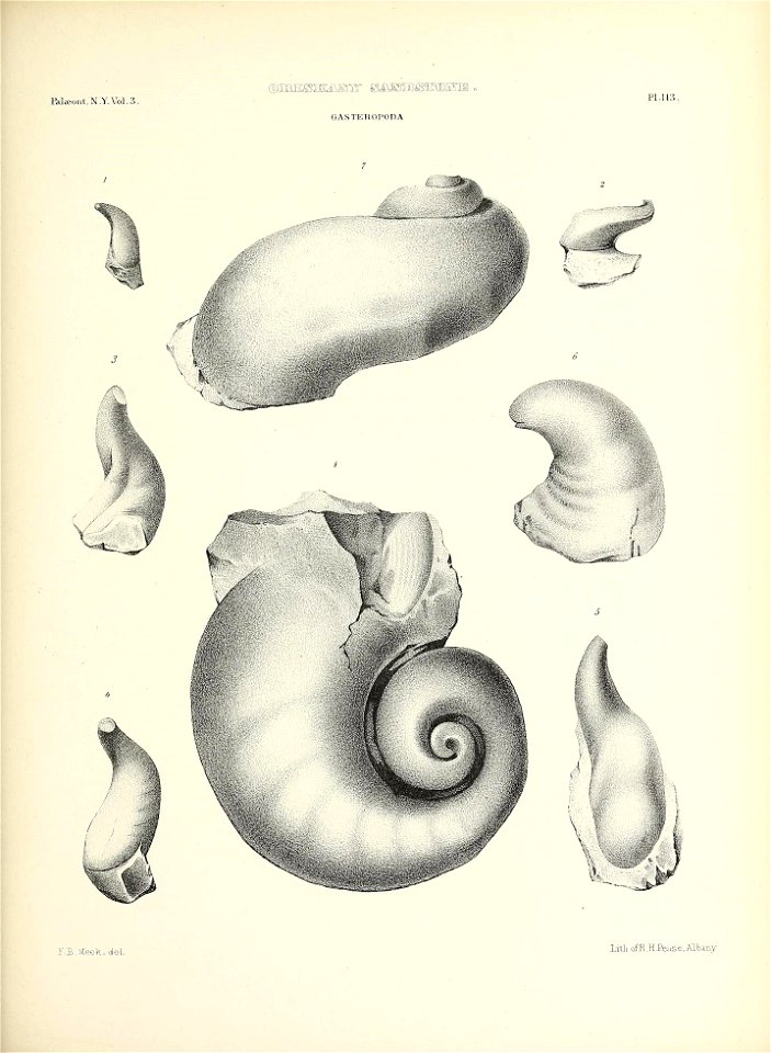 n546_w1150