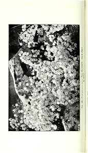 n877_w1150