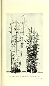 n166_w1150
