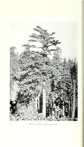 n59_w1150
