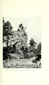 n28_w1150