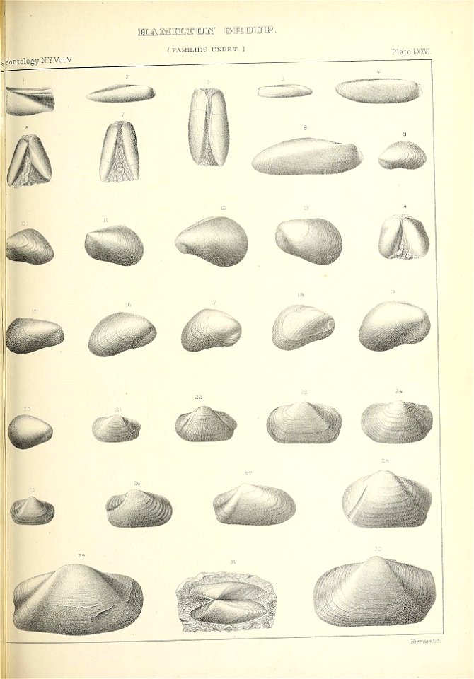 n538_w1150