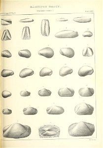 n538_w1150