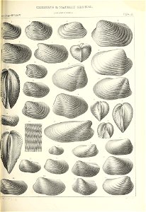 n478_w1150