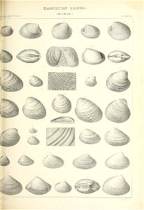 n418_w1150