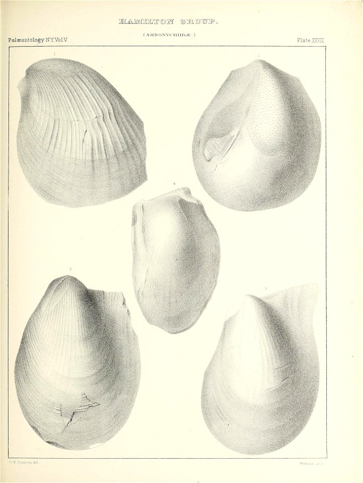 n402_w1150