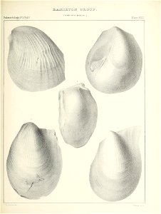 n402_w1150