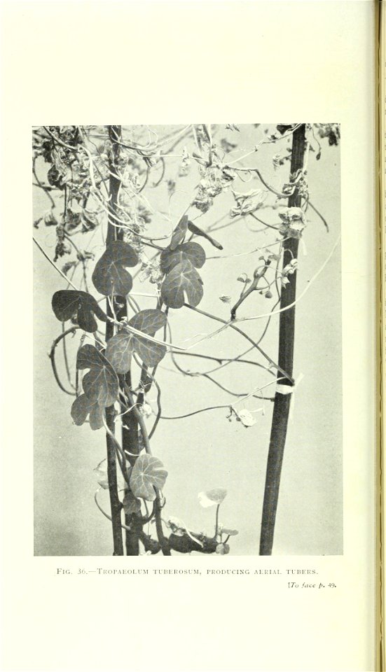 n97_w1150