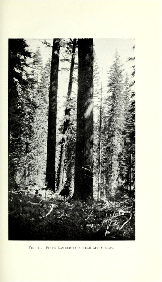 n58_w1150